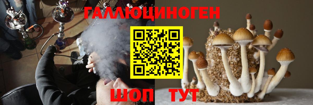 Псилоцибиновые грибы Magic Shrooms  Вход с VPN  продажа наркотиков  Луховицы 